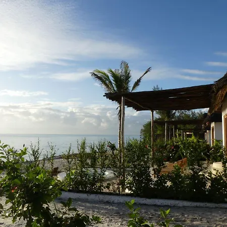 Zanbluu Beach Hotel Kiwengwa  Exterior foto
